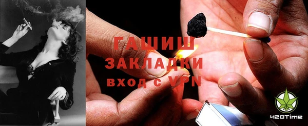 прущие грибы Дмитриев