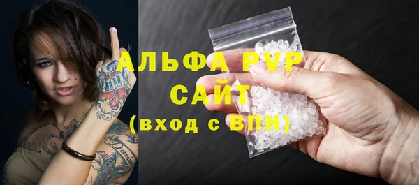 прущие грибы Дмитриев