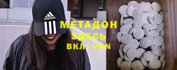 прущие грибы Дмитриев