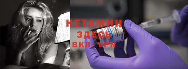 прущие грибы Дмитриев