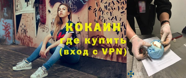 прущие грибы Дмитриев