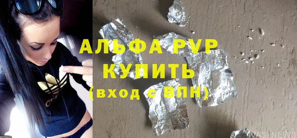 прущие грибы Дмитриев