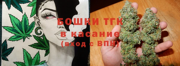 прущие грибы Дмитриев
