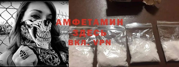 прущие грибы Дмитриев