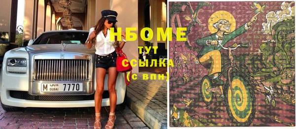 прущие грибы Дмитриев